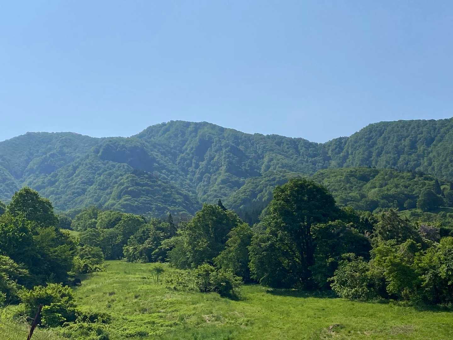 山頂までクリア☀️