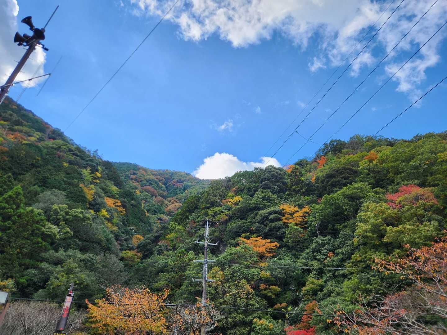 季節の変わり目に、ダイヤモンドトレールで岩湧山への写真