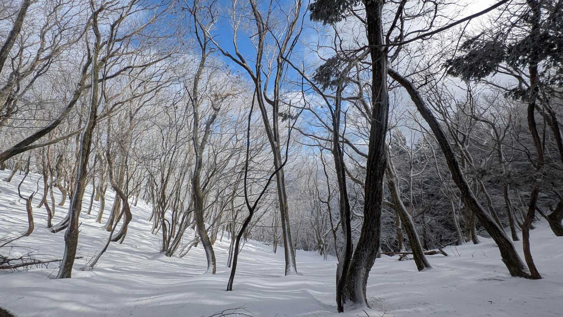 東山 周回コースの写真