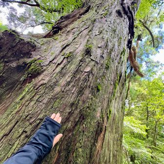 山神様いつも見守ってくれてありがとうございます♪
パワーを貰います