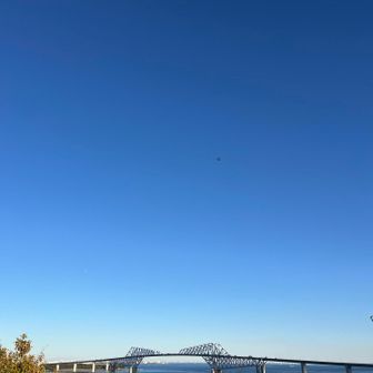 頂上からは東京ゲートブリッジがよく見えます。