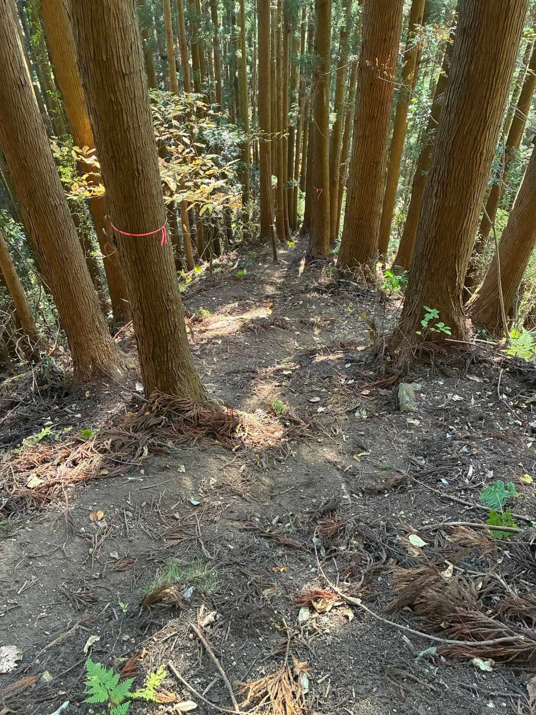 下山は気をつけて。
