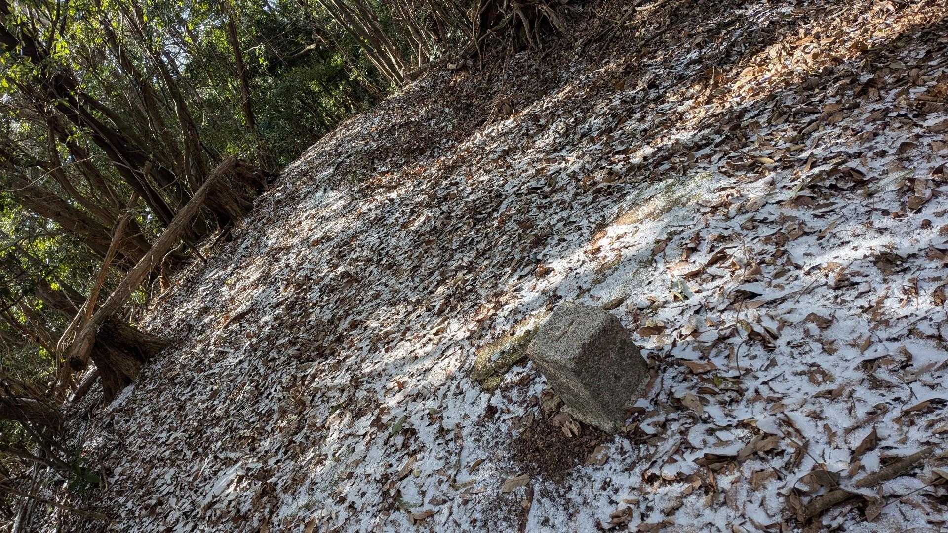 ここが山頂だね。
眺望なし。三角点あり。