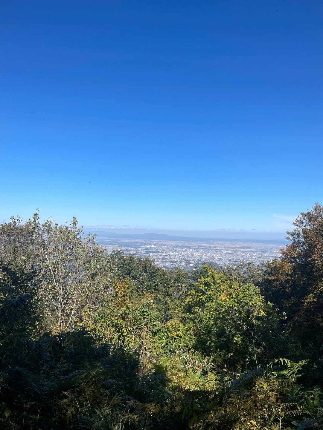 久渡寺山-岩落山 周回コースの写真