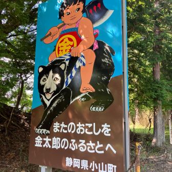 また来ます👋