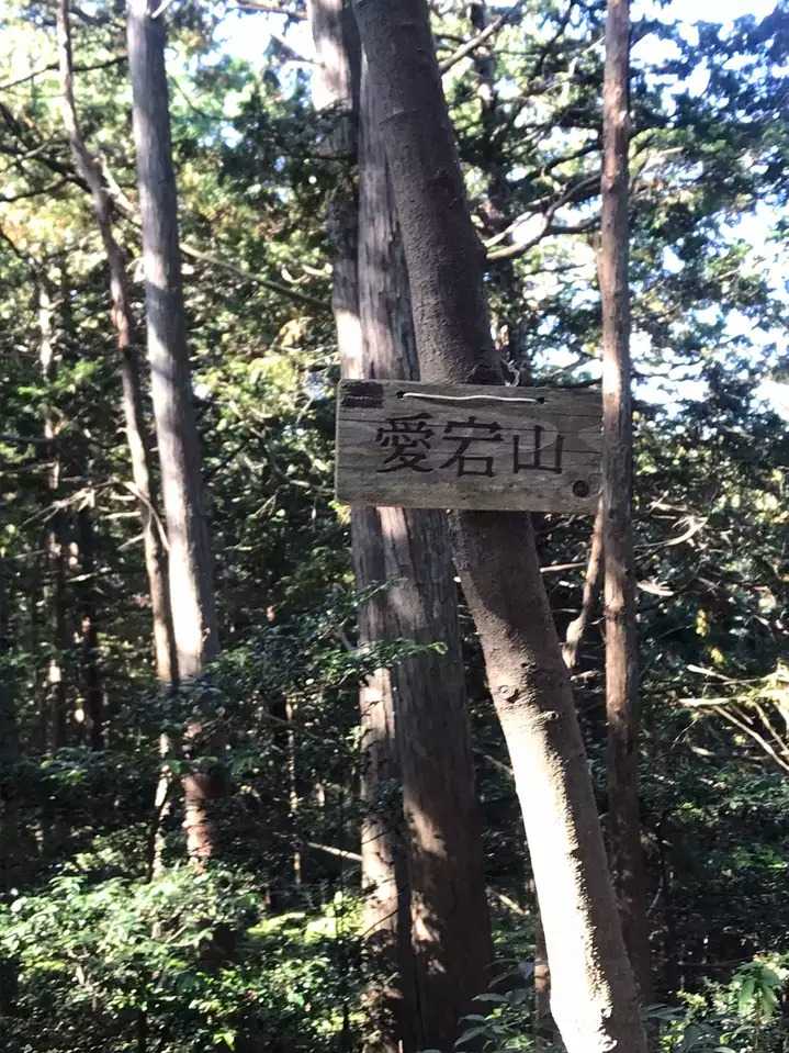 愛宕山の写真