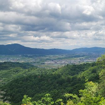 山頂からの景色