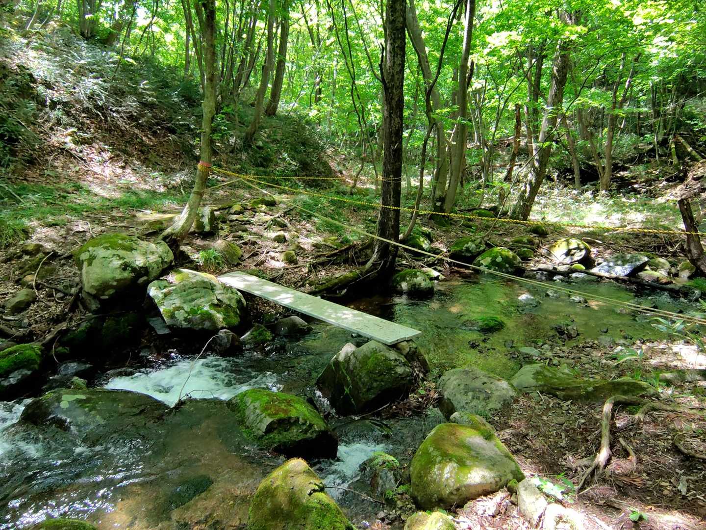 鶏峠-笠ヶ森山 周回コースの写真