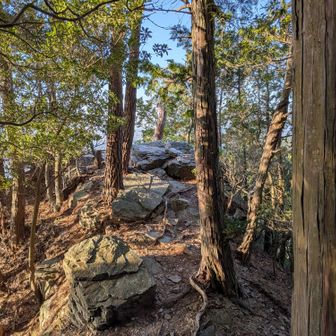戻って、展望ポイントに到着