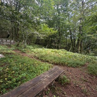下山道分岐にて暫く休憩し下山開始。