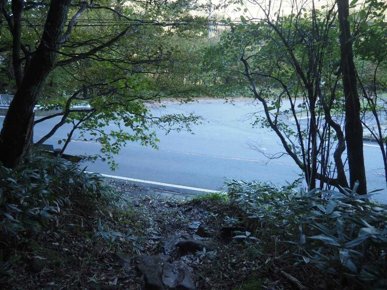 コケずに無事帰ってきました。