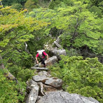 大日岳の鎖場は2回目ですが、去年鎖が切れて怖い😨