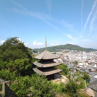 下りながら、散策します