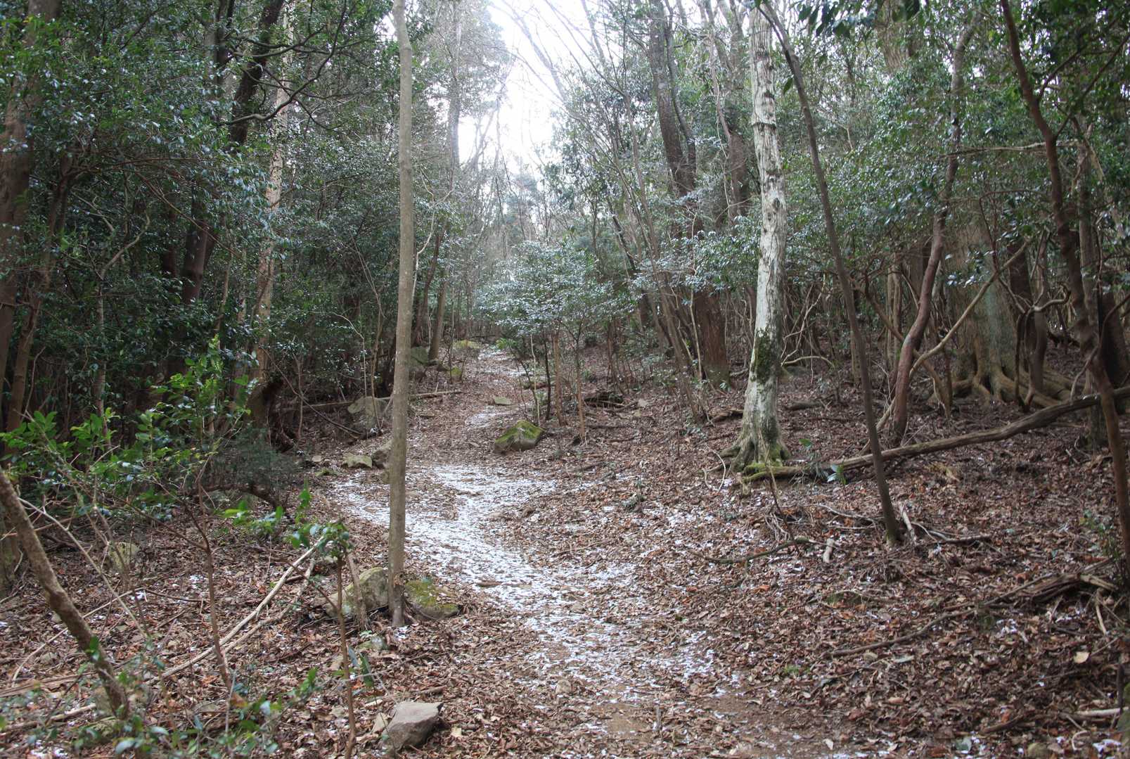 御許山-雲ヶ岳 周回コースの写真