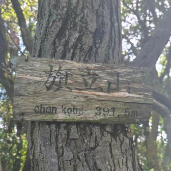絶景なし😭
やっぱり…
だから皆こないのねー🤣