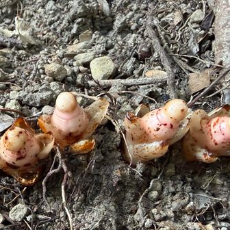 せいれつ〜‼️ かわいい💕