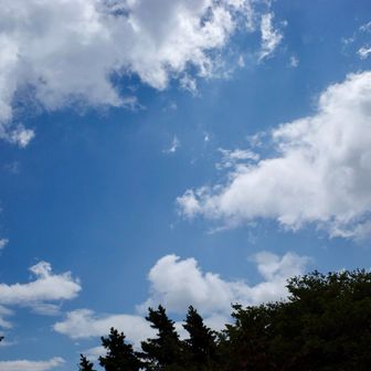 だいぶ暑くなってきました