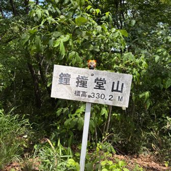 山頂！