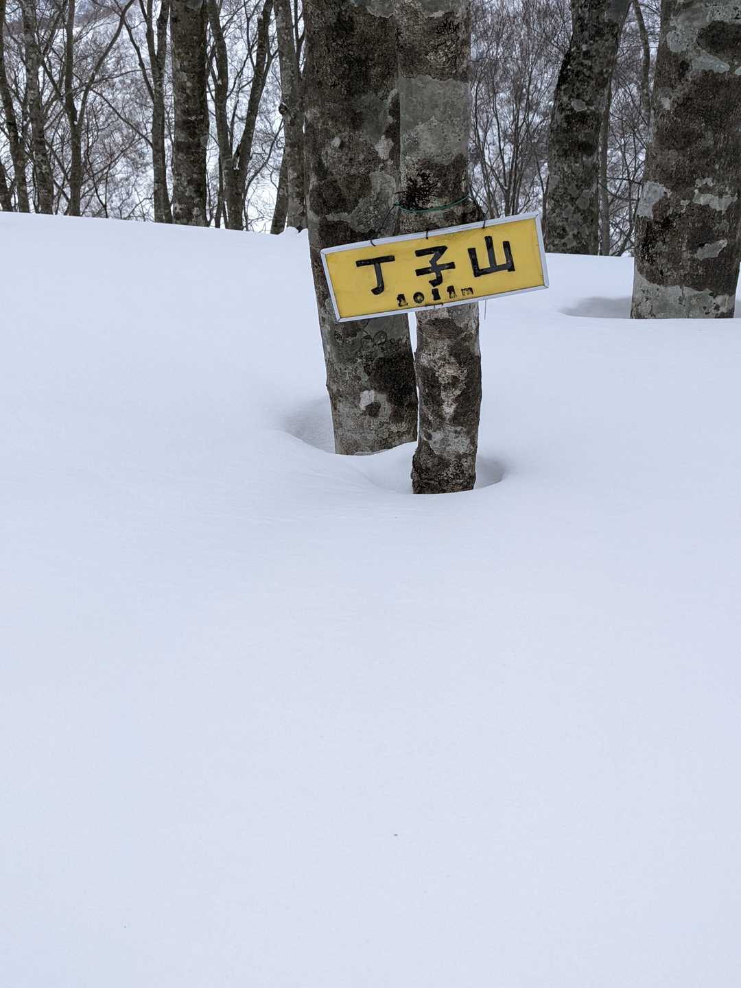 頂上標識🪧雪で埋まりそうです❄