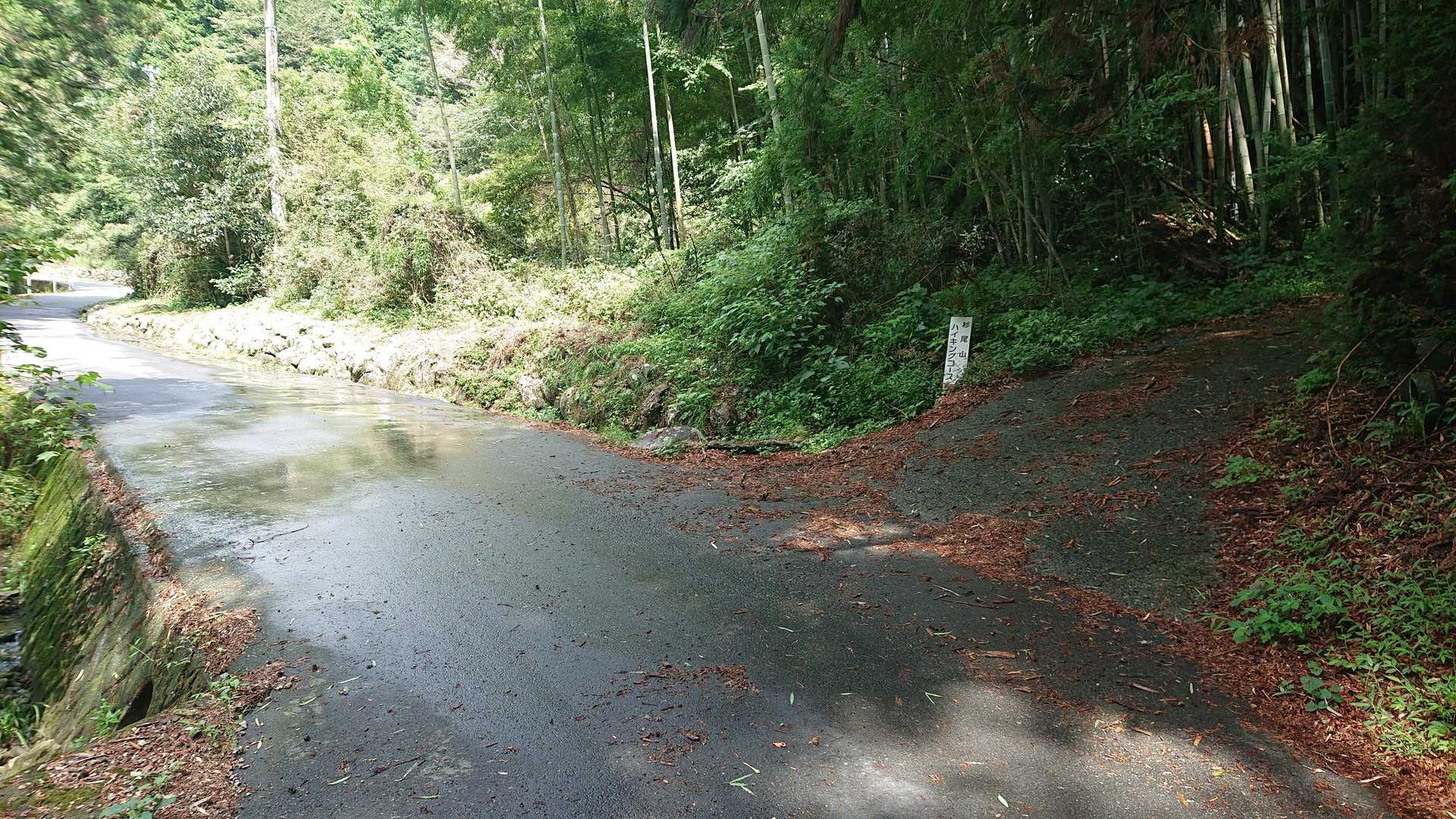 登り口に戻って来ました💡