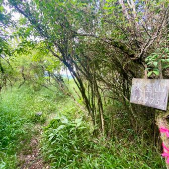 大室山南峰、ここも眺望がないので展望ポイントへ