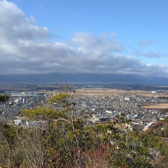 野洲越しに琵琶湖を望む