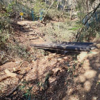 ワクワクする道