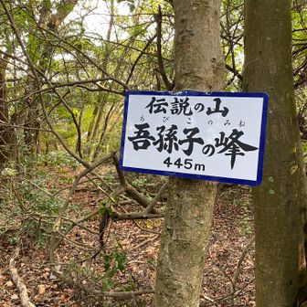 伝説の山、らしい・・・