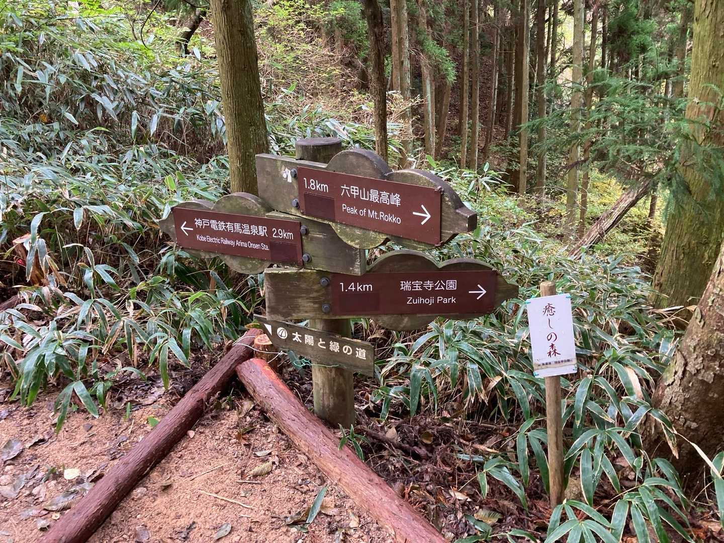 今日は瑞宝寺公園へ