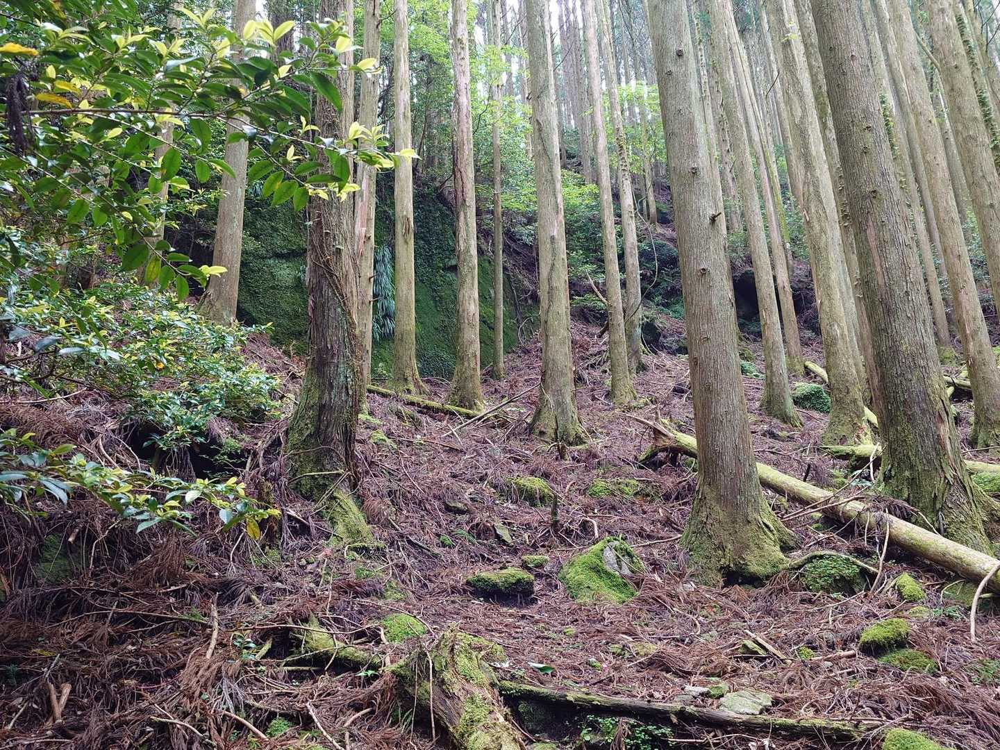 まだ、序ノ口 😄