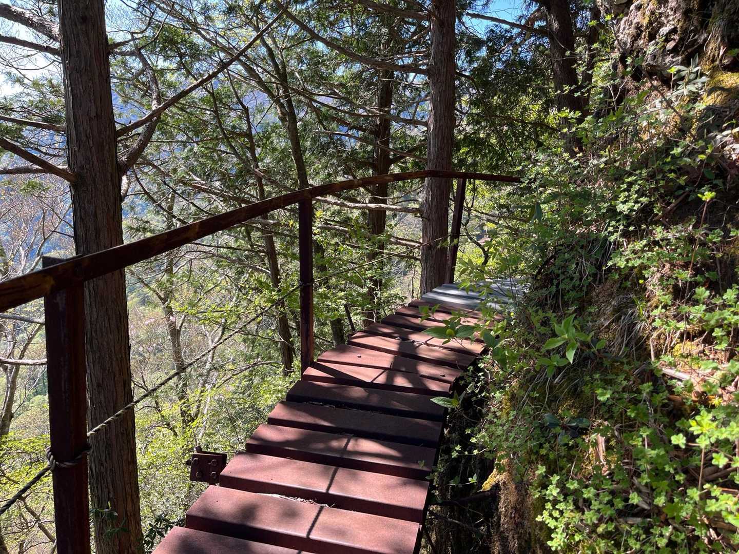 岩黒山-手箱越-手箱山-筒上山 周回コースの写真