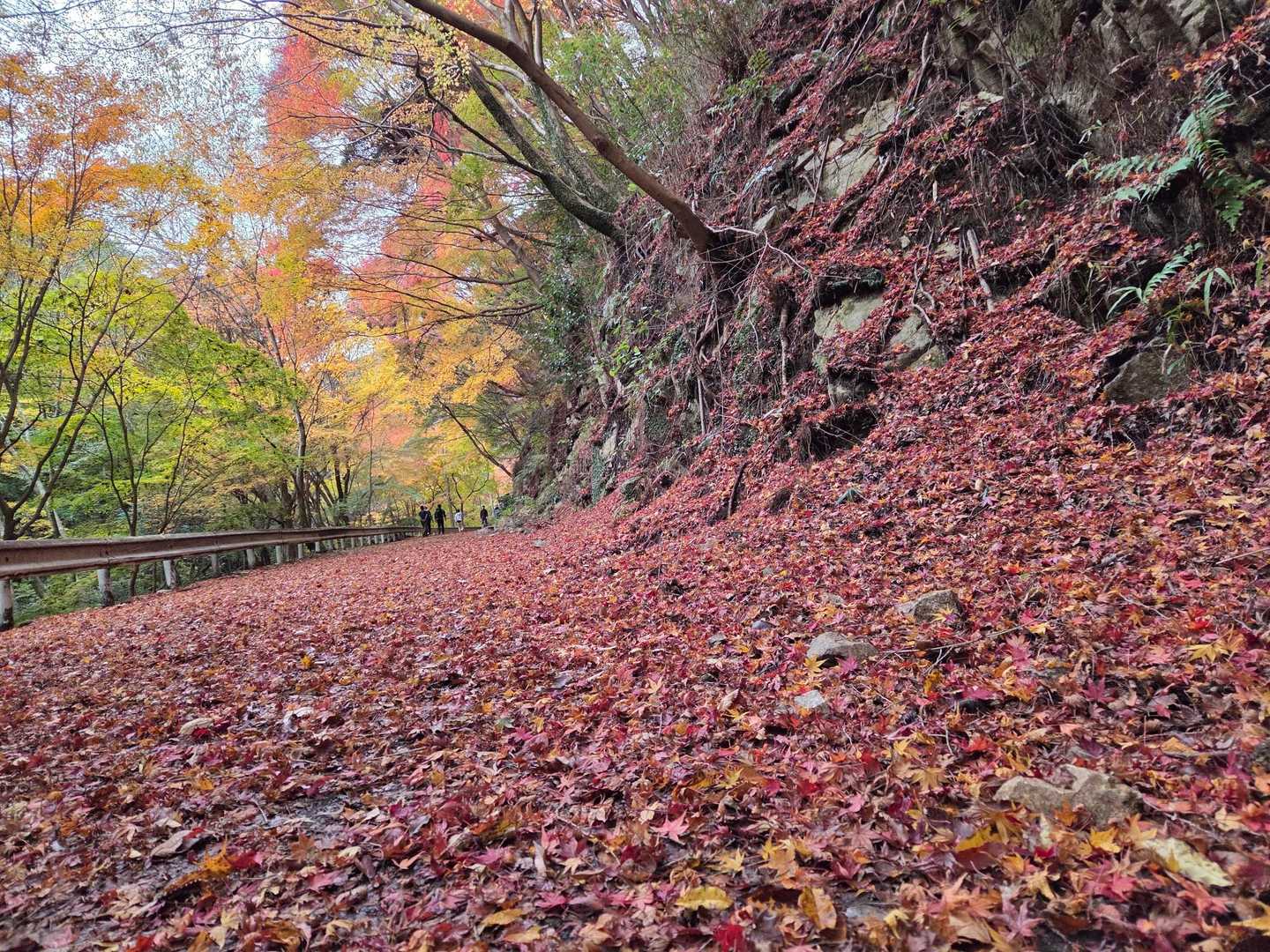 新神戸駅-滝山城跡登山口 縦走コースの写真