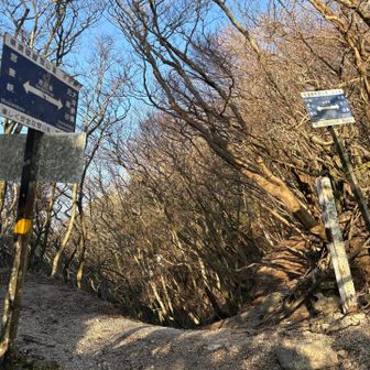 峠に出たら風が強い