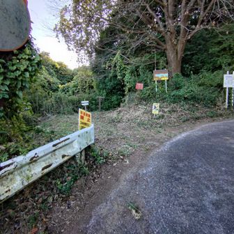 頑張れば車停めれそう