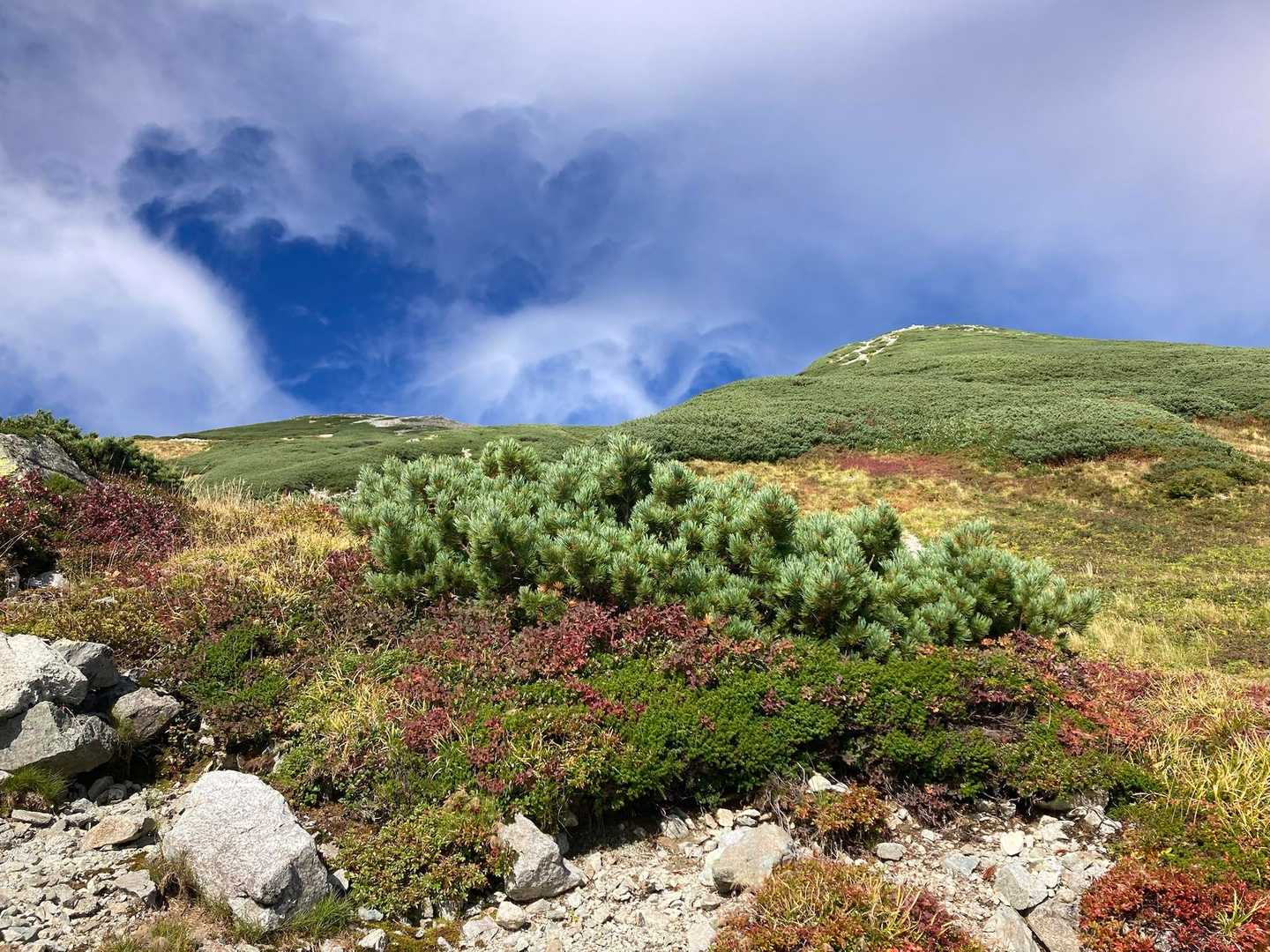 別山 往復コースの写真