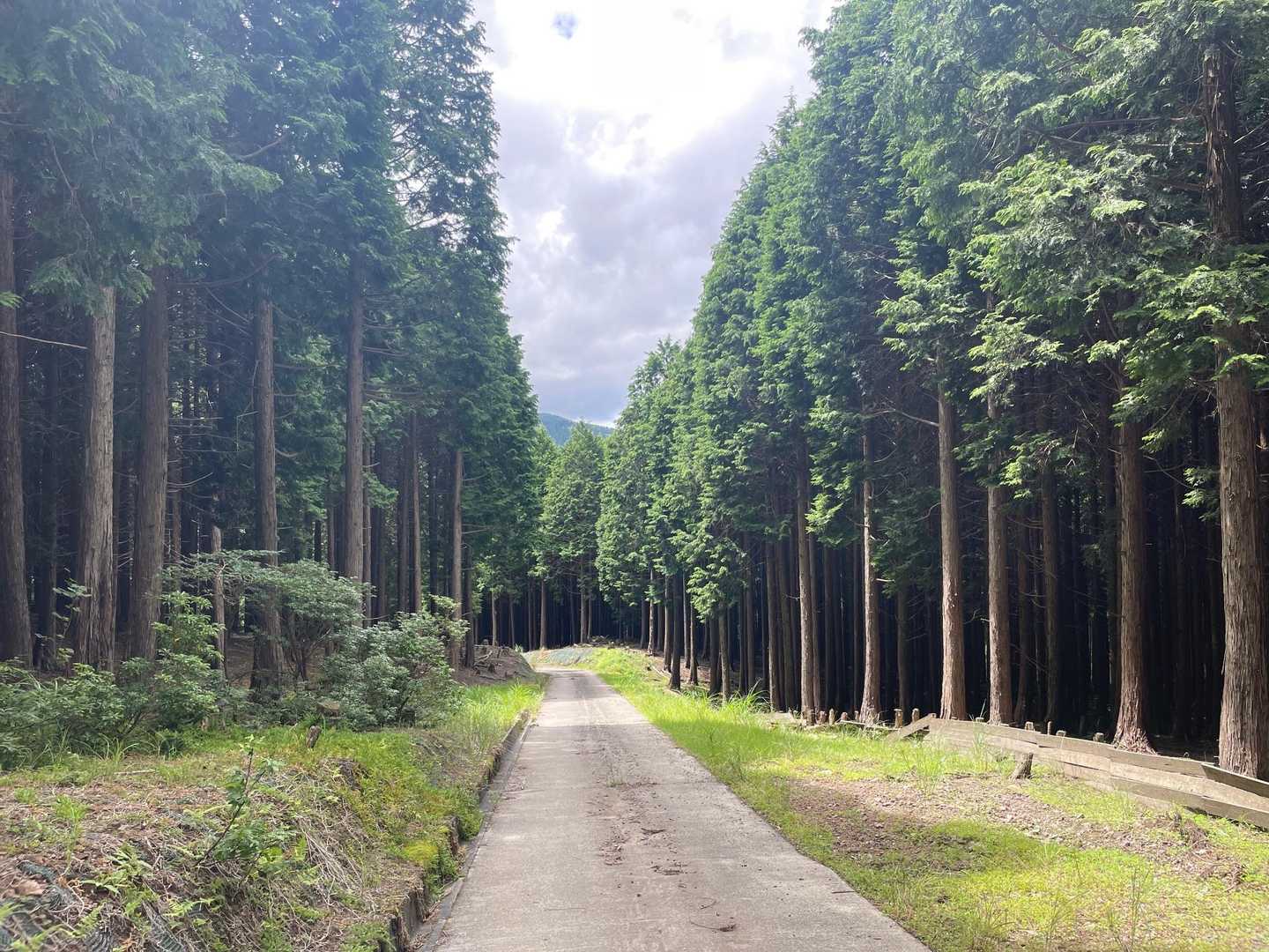 笠杉山登山口-笠杉山 往復コースの写真