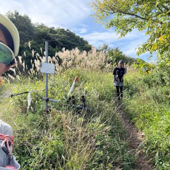 ただいまーー🌾
青を見て、視力が上がった気がします👁️👁️

また週末も、ソロっと秋を探しにお出かけしてきまーす🍁👋