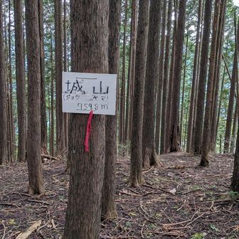 ヒイヒイ言いながら城山（759m）到着。ここからの下りは猛ダッシュでした（笑）