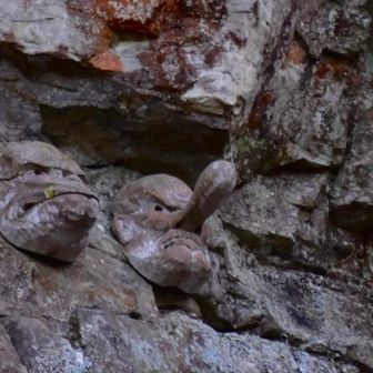 烏天狗さんと天狗さん
お参りして