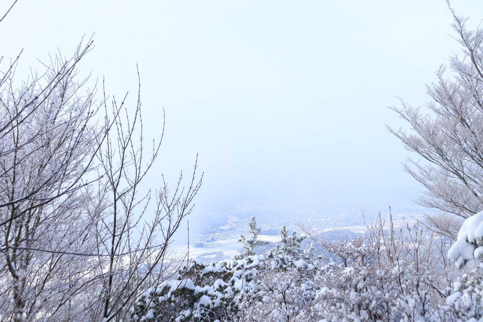 竜王山登山口-竜王山-綿向山 往復コースの写真