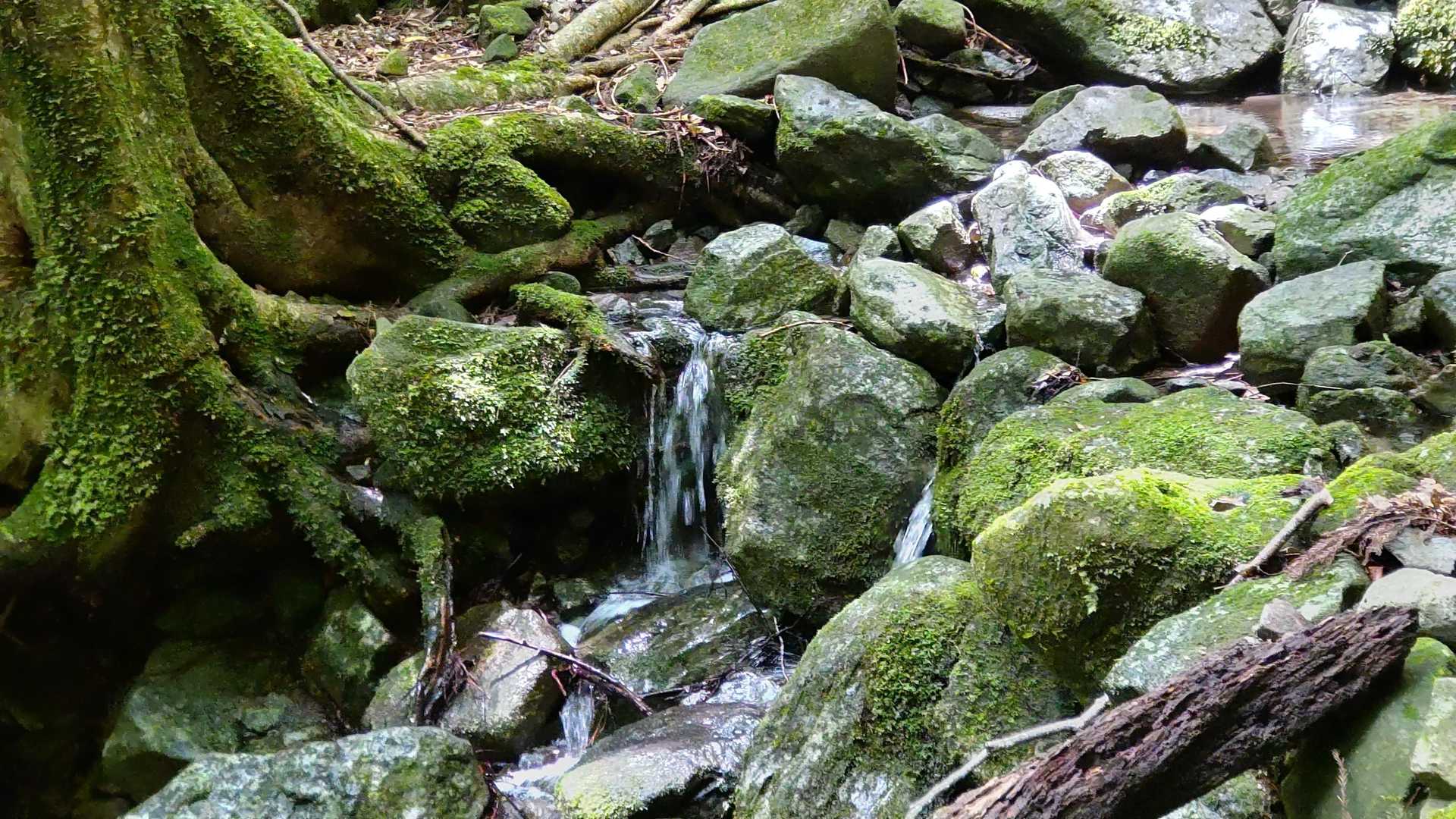 多良岳 往復コースの地図・登山ルート・登山口情報 | YAMAP / ヤマップ