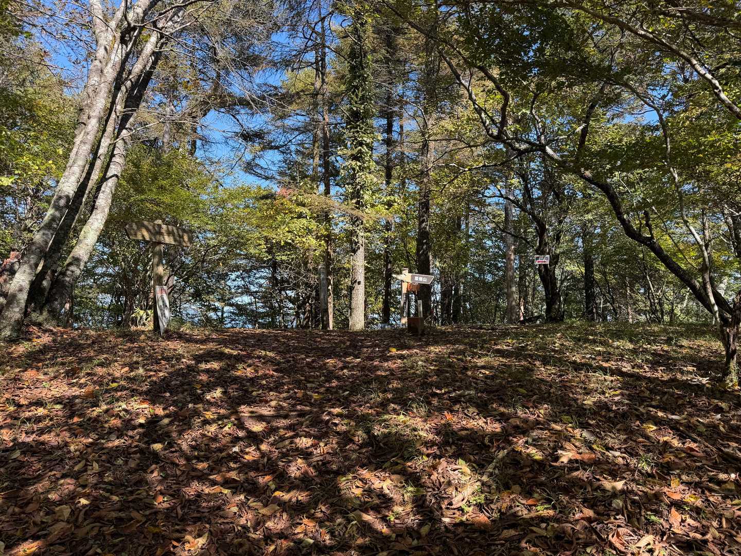 今倉山の頂上
