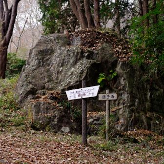 団子岩そのまま