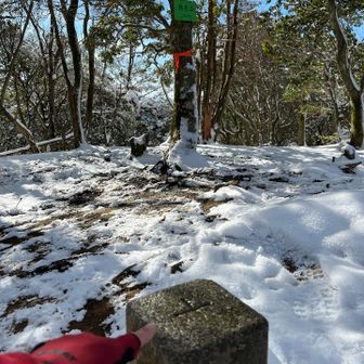 横尾山の三角点