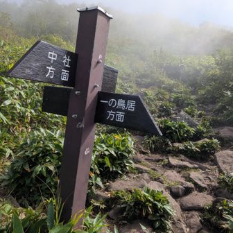 分岐
左側は戸隠スキー場へも下だれる