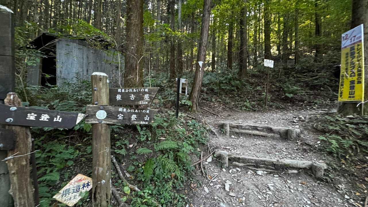 長瀞アルプス（野上駅〜野上峠〜小鳥峠〜宝登山） の写真 8