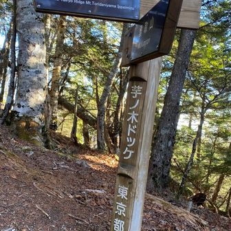 昨日は登らなかった芋ノ木ドッケへ
なかなか大変でした💦