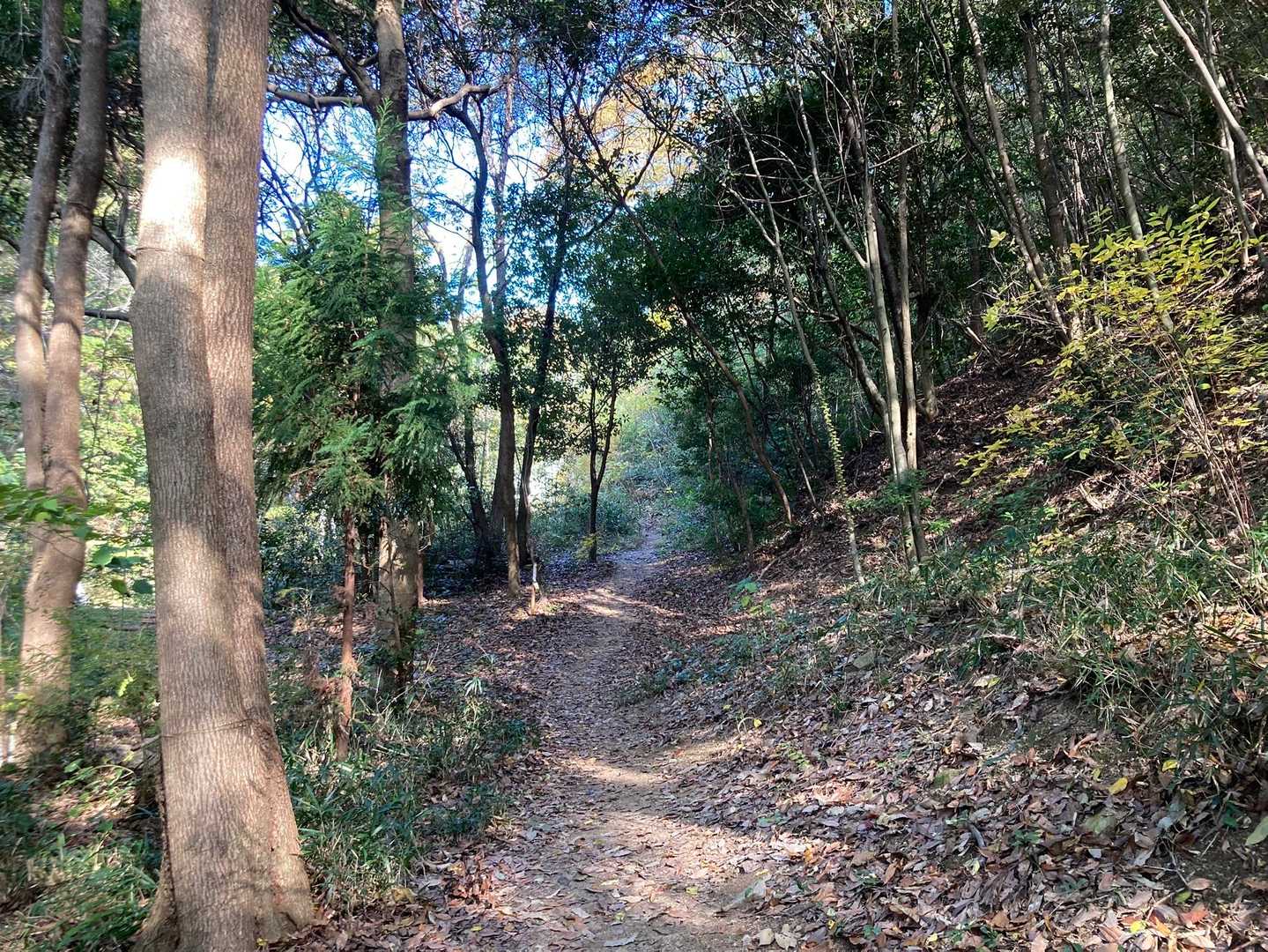 時間が遅めなので紅葉狩りはそこそこに登山開始します⛰