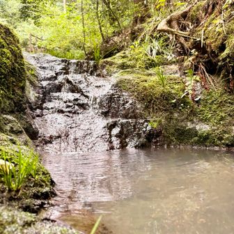 沢沿いの道が気持ちよい〜