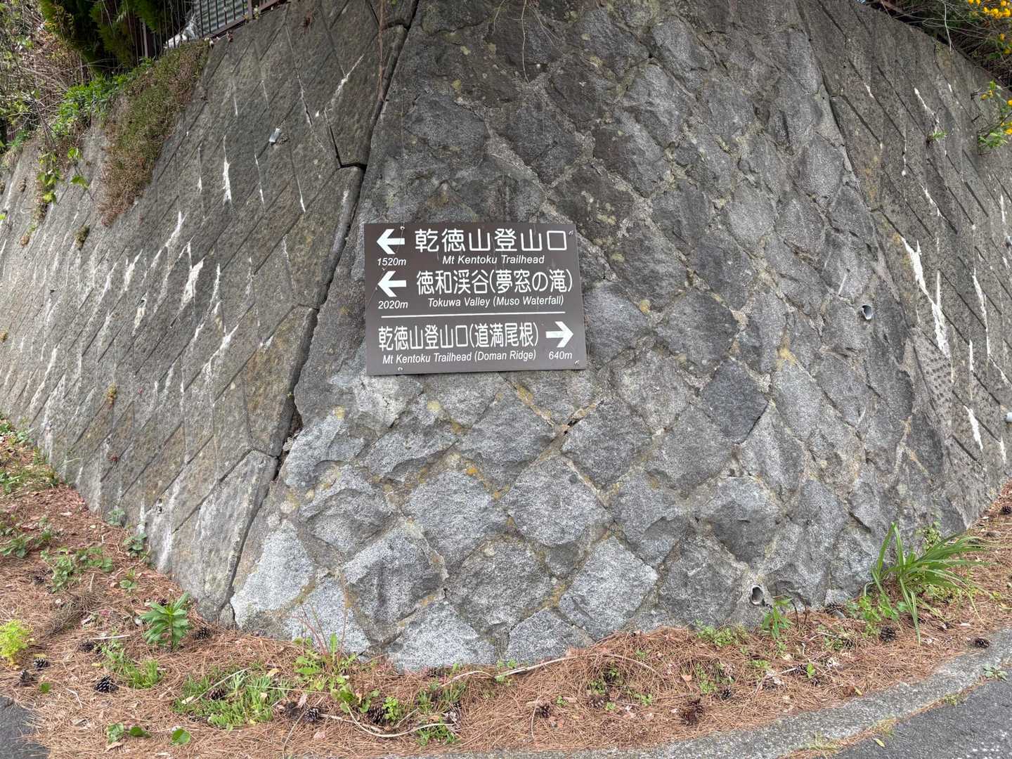 今回は右から👉